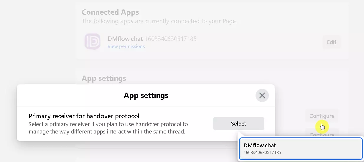 Set DMflow.chat as the primary receiver